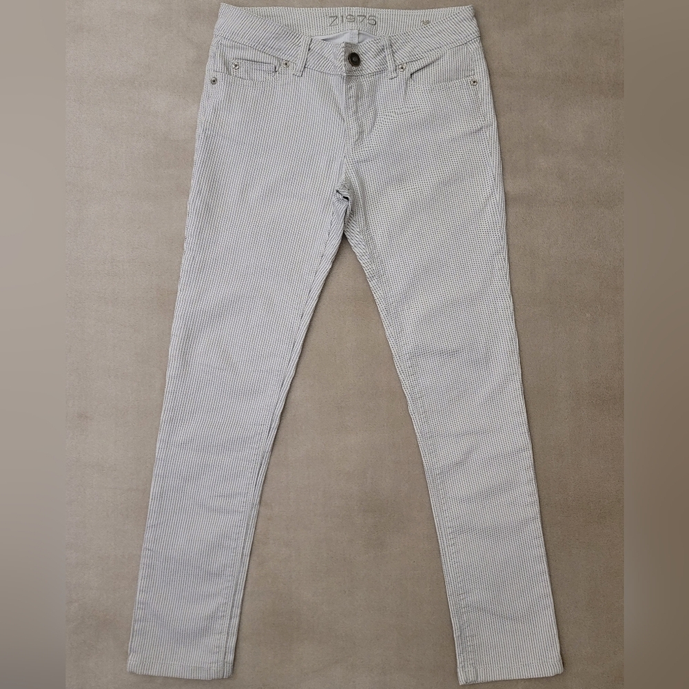 Zara Women Striped Mid Rise Skinny Fit Jeans Size 6